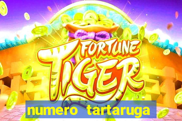 numero tartaruga jogo do bicho